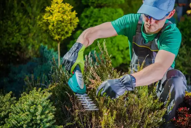 landscaping services Central